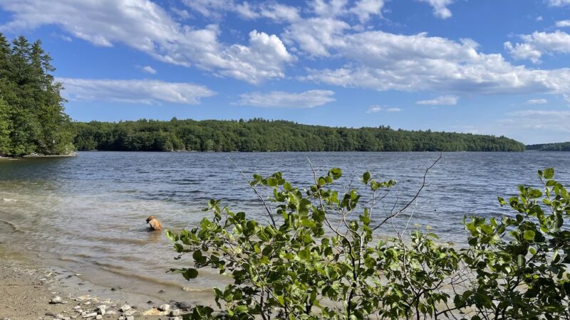 Pleasant Point Park - Buxton, ME