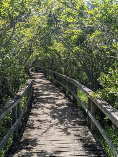 Buxton Woods Trail - Buxton, NC