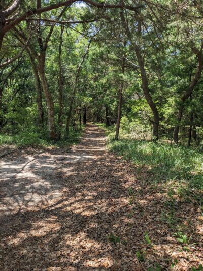 Buxton Woods Trail - Buxton, NC