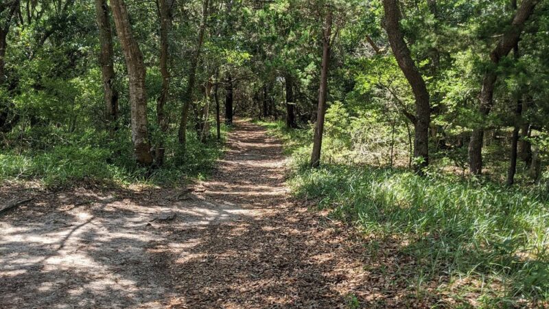 Buxton Woods Trail - Buxton, NC