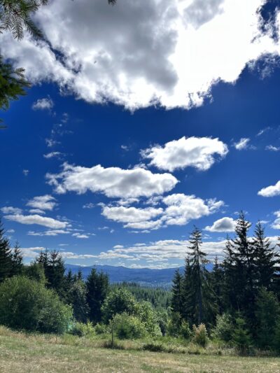 Pet Exercise Area - Buxton, OR