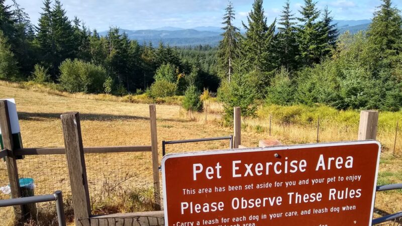 Pet Exercise Area - Buxton, OR