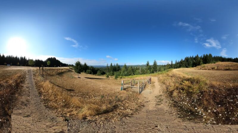 Pet Exercise Area - Buxton, OR