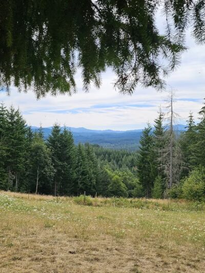 Pet Exercise Area - Buxton, OR