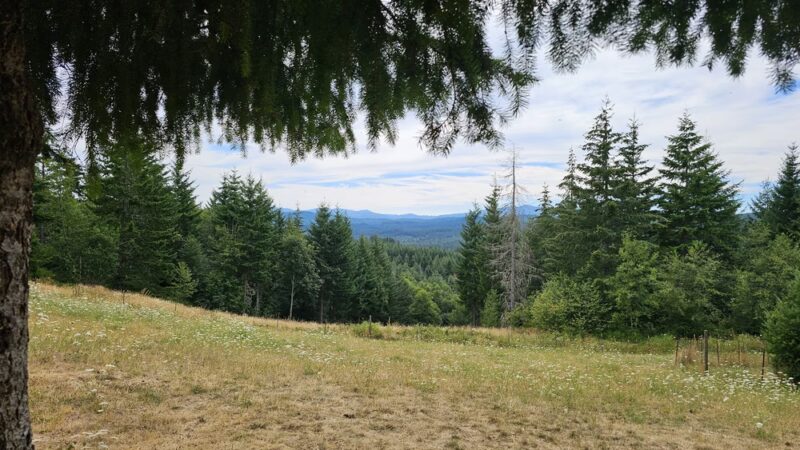Pet Exercise Area - Buxton, OR
