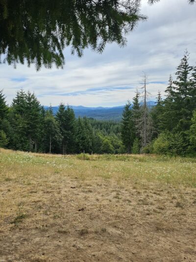 Pet Exercise Area - Buxton, OR