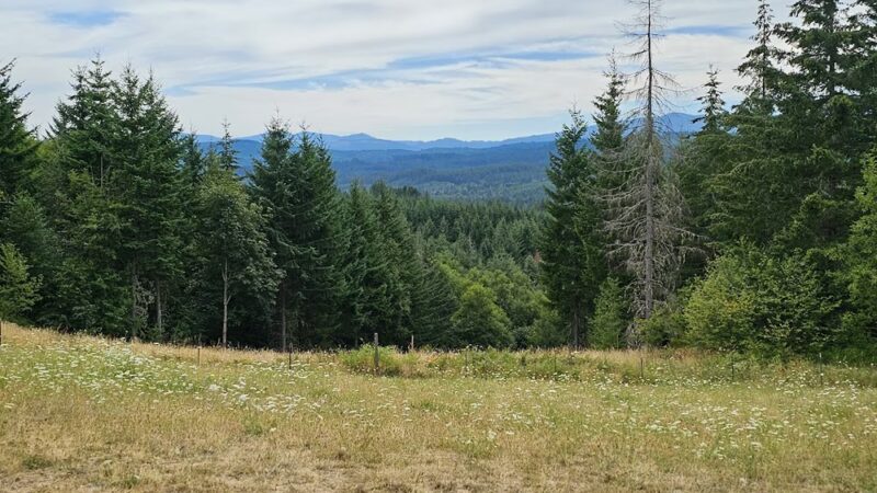 Pet Exercise Area - Buxton, OR