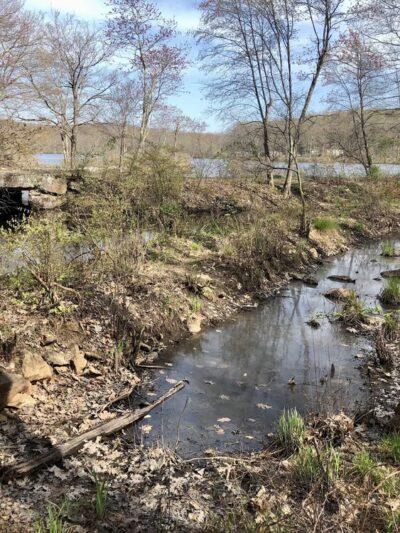 Sussex Branch Trail Parking - Byram Township, NJ