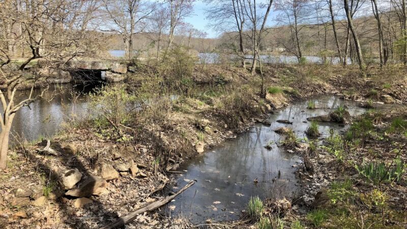 Sussex Branch Trail Parking - Byram Township, NJ