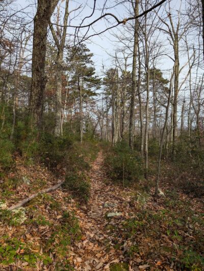 Redman Run Trailhead - Cabins, WV