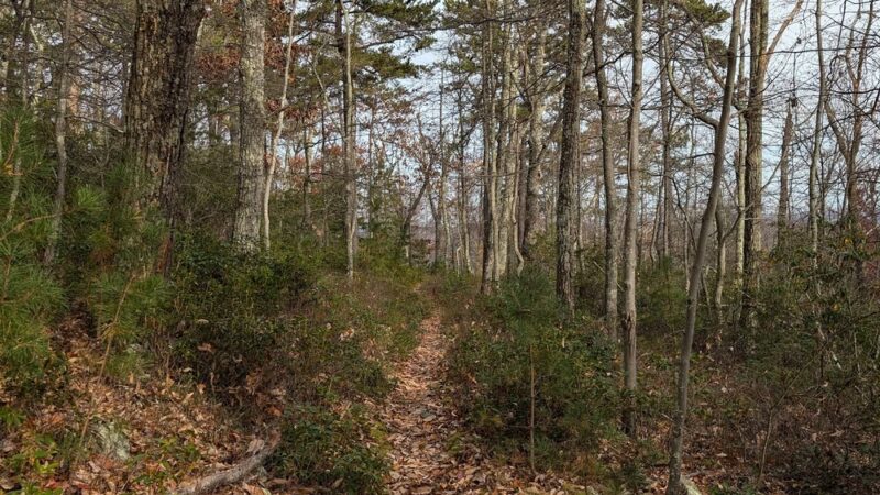 Redman Run Trailhead - Cabins, WV