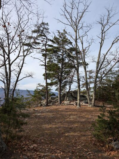 Redman Run Trailhead - Cabins, WV