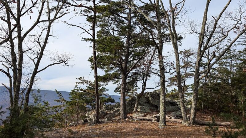 Redman Run Trailhead - Cabins, WV