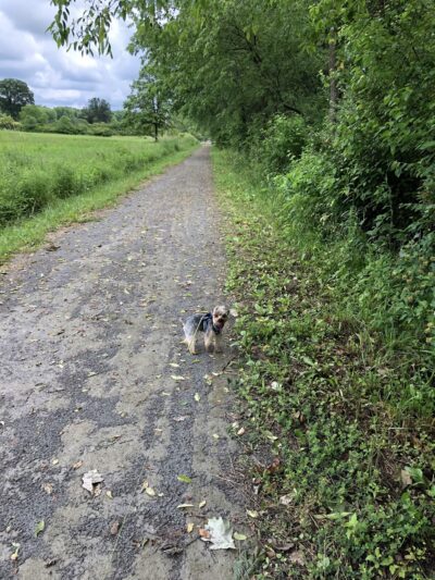 Butler-Freeport Community Trail Keasey Road Trailhead - Cabot, PA