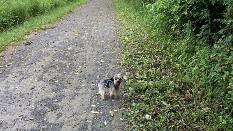 Butler-Freeport Community Trail Keasey Road Trailhead - Cabot, PA