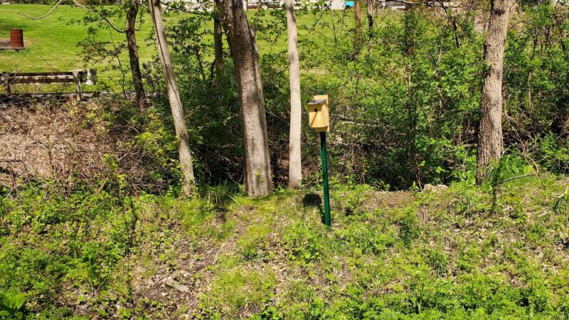 Butler-Freeport Community Trail Marwood Rd Trailhead - Cabot, PA