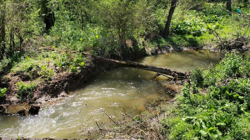 Butler-Freeport Community Trail Marwood Rd Trailhead - Cabot, PA