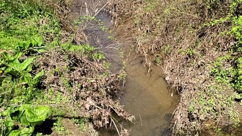 Butler-Freeport Community Trail Winfield Road Trailhead - Cabot, PA