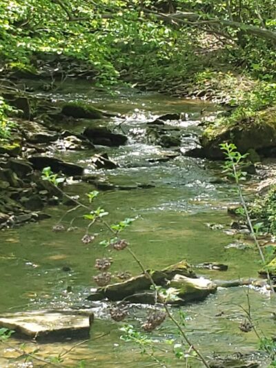 Butler-Freeport Community Trail Winfield Road Trailhead - Cabot, PA