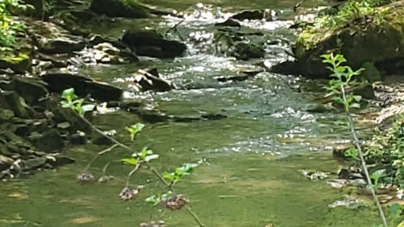 Butler-Freeport Community Trail Winfield Road Trailhead - Cabot, PA