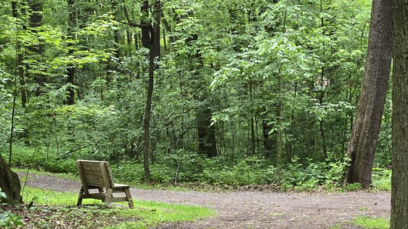 Laura Doerr Memorial Park - Cabot, PA