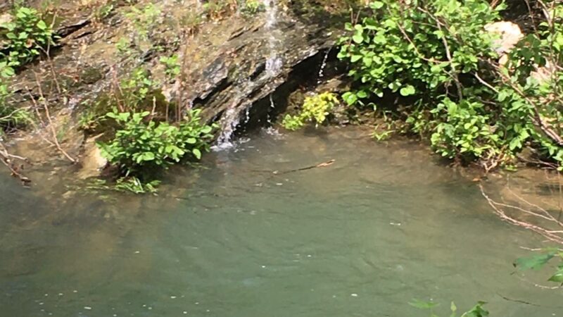 Crooked Creek Falls - Caddo Gap, AR
