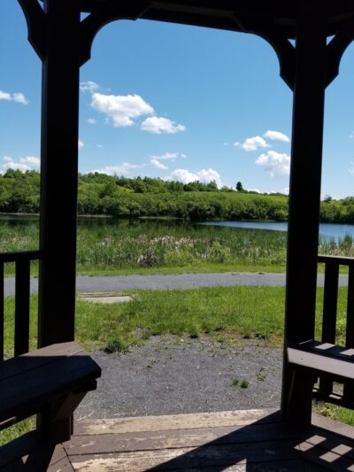 Kanik Nature Trail - Calcium, NY