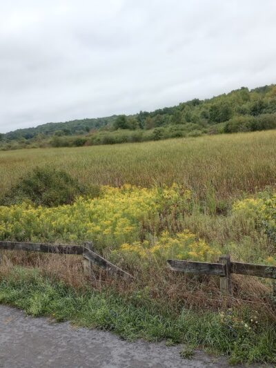 Kanik Nature Trail - Calcium, NY