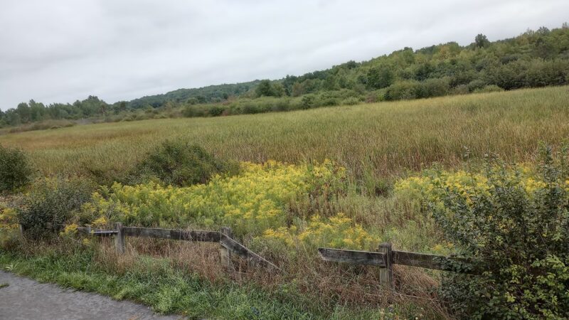 Kanik Nature Trail - Calcium, NY