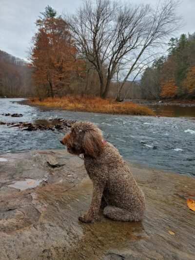 Start of Greenbrier River Trail - Caldwell, WV
