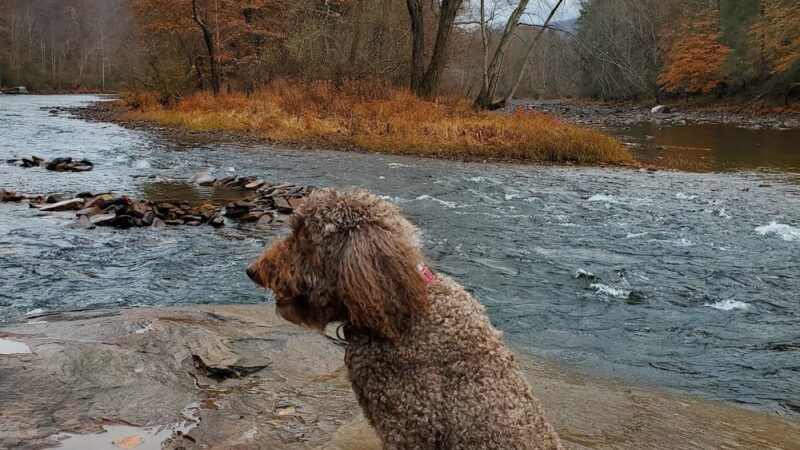 Start of Greenbrier River Trail - Caldwell, WV