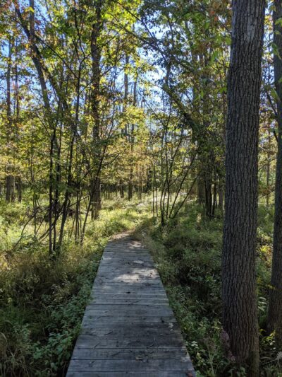 Christine Sevilla Wetlands Preserve - Caledonia, NY