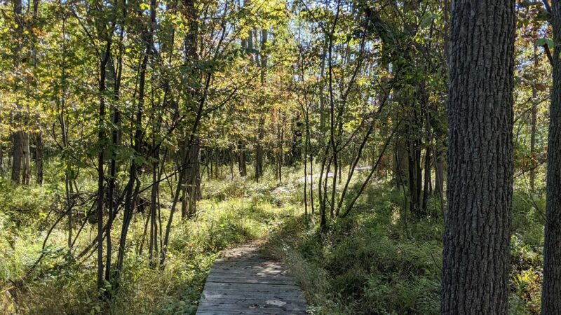 Christine Sevilla Wetlands Preserve - Caledonia, NY