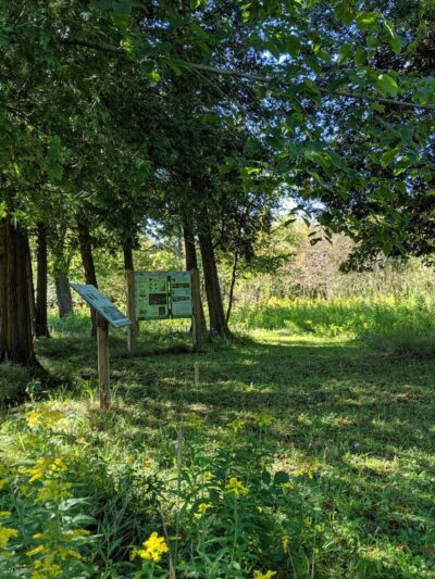 Christine Sevilla Wetlands Preserve - Caledonia, NY