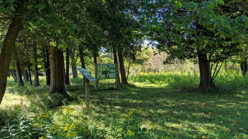 Christine Sevilla Wetlands Preserve - Caledonia, NY