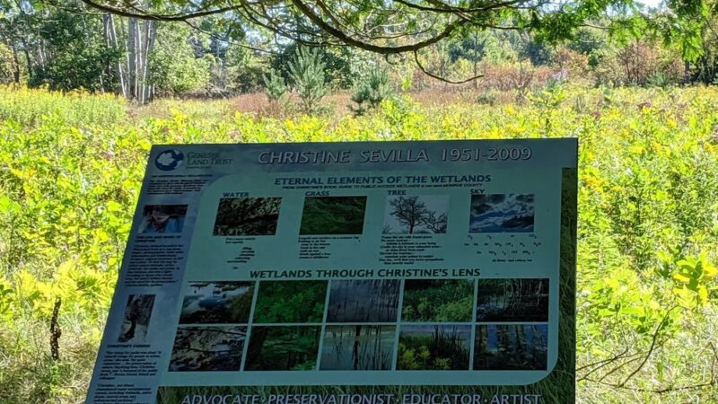 Christine Sevilla Wetlands Preserve - Caledonia, NY