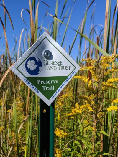 Christine Sevilla Wetlands Preserve - Caledonia, NY