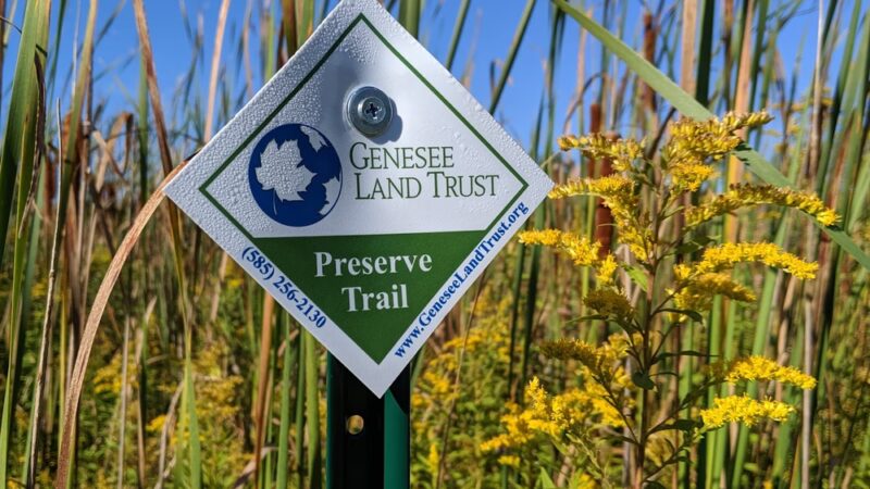 Christine Sevilla Wetlands Preserve - Caledonia, NY