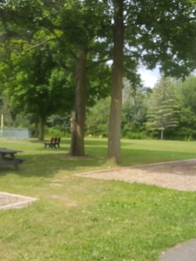 Hamilton Park - Caledonia, NY