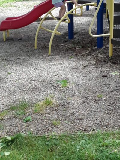 Hamilton Park - Caledonia, NY