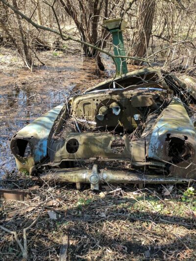 MacKay Wildlife Preserve - Caledonia, NY