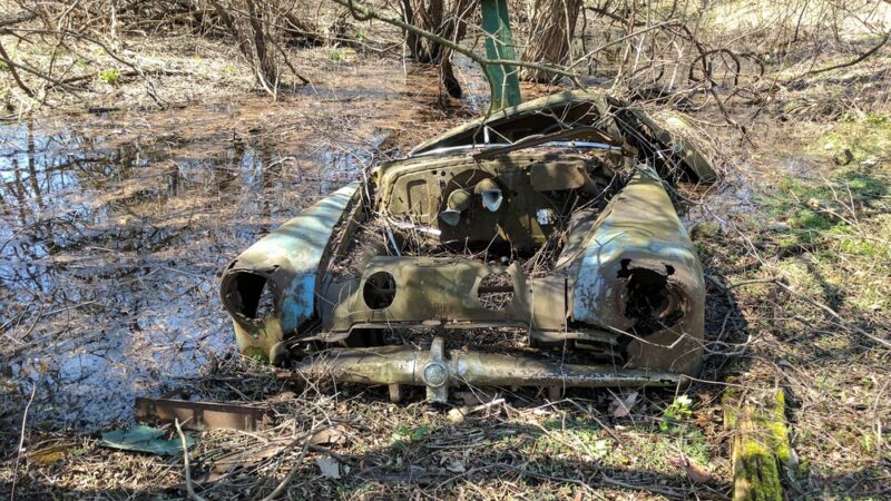 MacKay Wildlife Preserve - Caledonia, NY