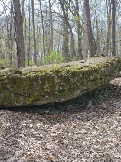 MacKay Wildlife Preserve - Caledonia, NY