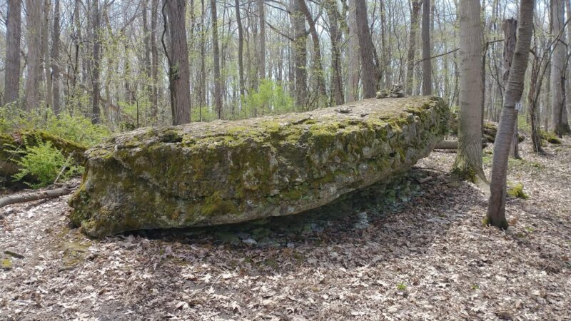 MacKay Wildlife Preserve - Caledonia, NY