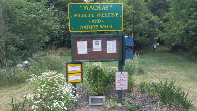 MacKay Wildlife Preserve - Caledonia, NY