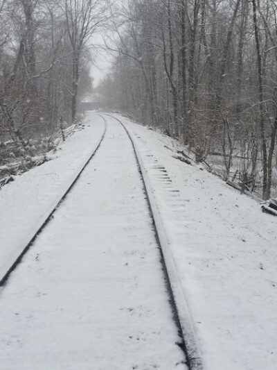 MacKay Wildlife Preserve - Caledonia, NY