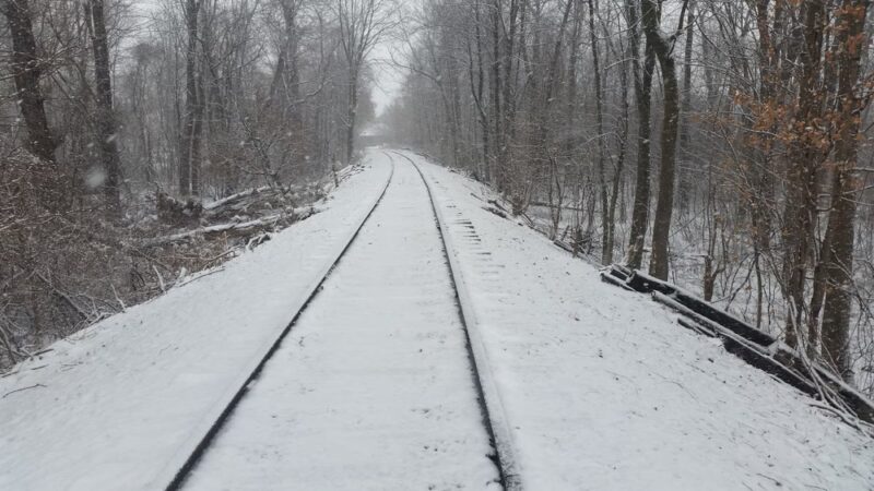 MacKay Wildlife Preserve - Caledonia, NY