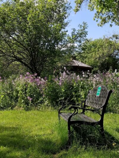 MacKay Wildlife Preserve - Caledonia, NY
