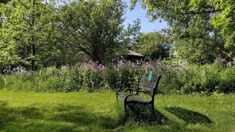 MacKay Wildlife Preserve - Caledonia, NY