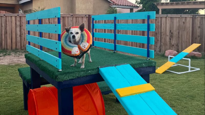 Rooney and Desi’s sniff ‘n’ play yard - Calexico, CA